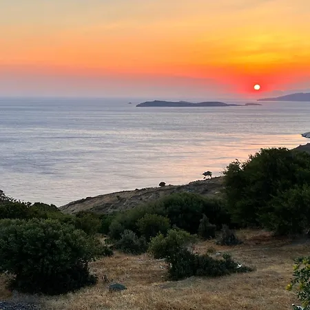 Captain's Pounda * Aprovaton